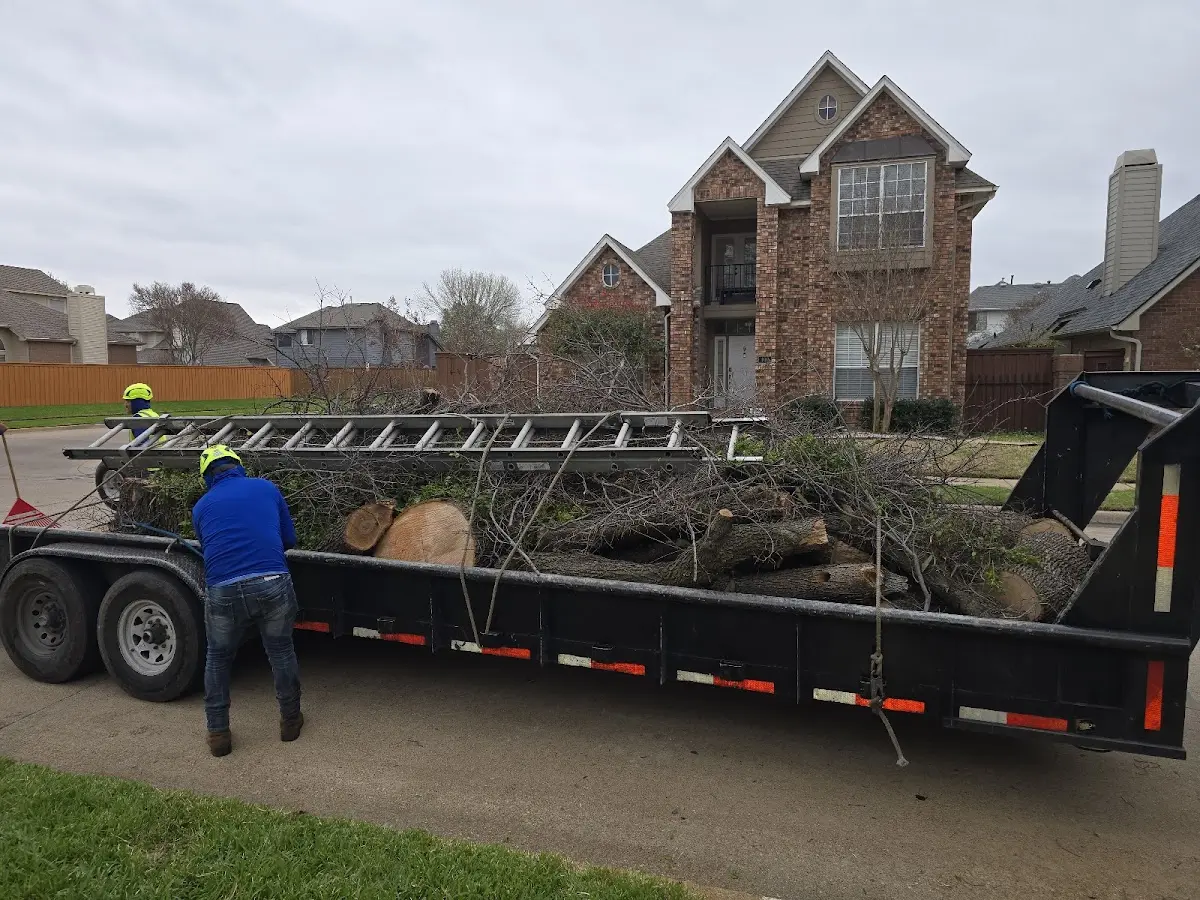 Expert Tree Pest Control with proper safety equipment in Popejoy